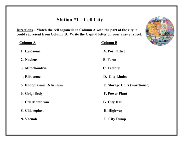 Cell city analogy answers key