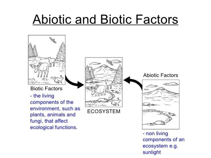 Biotic and abiotic venn diagram