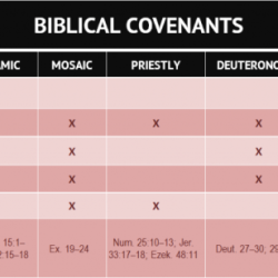 Covenant old chart bible vs zazzle study charts covenants classroom