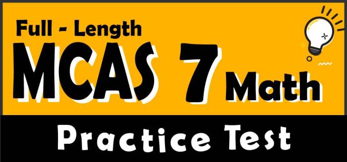 Tests mcas massachusetts practice example testing