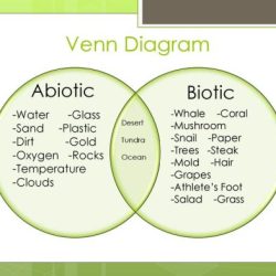 Abiotic biotic venn scavenger