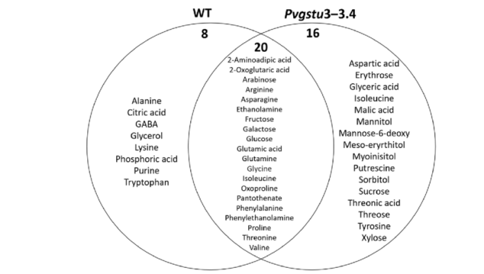 Biotic and abiotic venn diagram