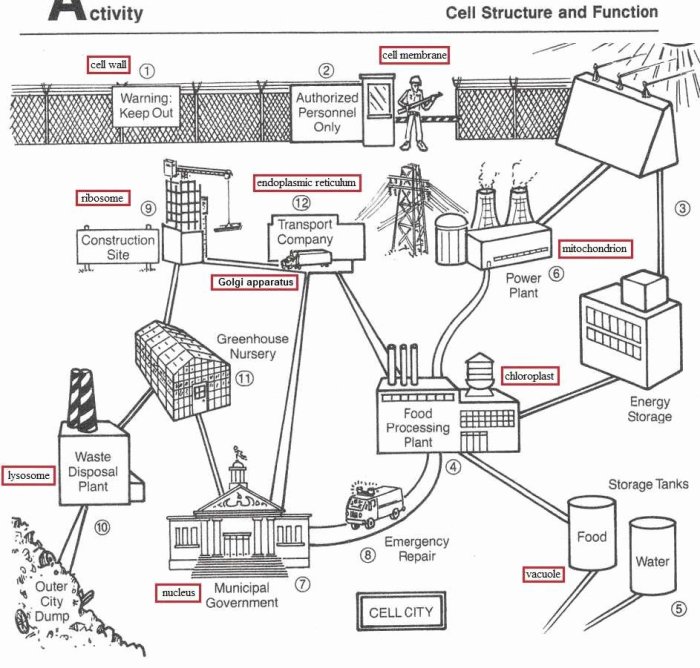 Cell city analogy answers key