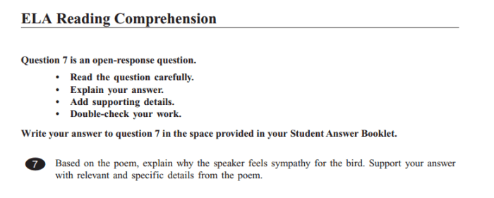 Mcas practice test grade 10