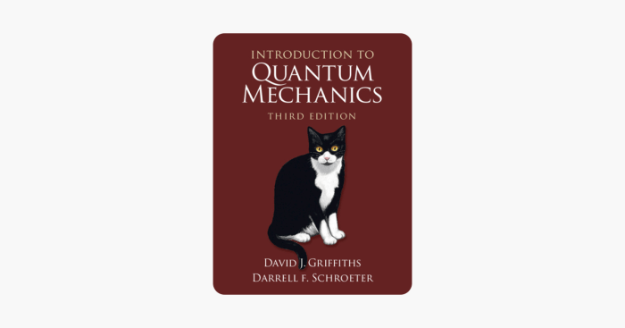 Introduction to quantum mechanics 3rd edition solutions