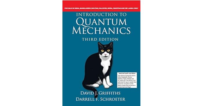 Introduction to quantum mechanics 3rd edition solutions