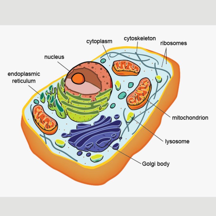 Blocks biological molecules cells