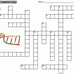 Crossword dna structure and replication answer key